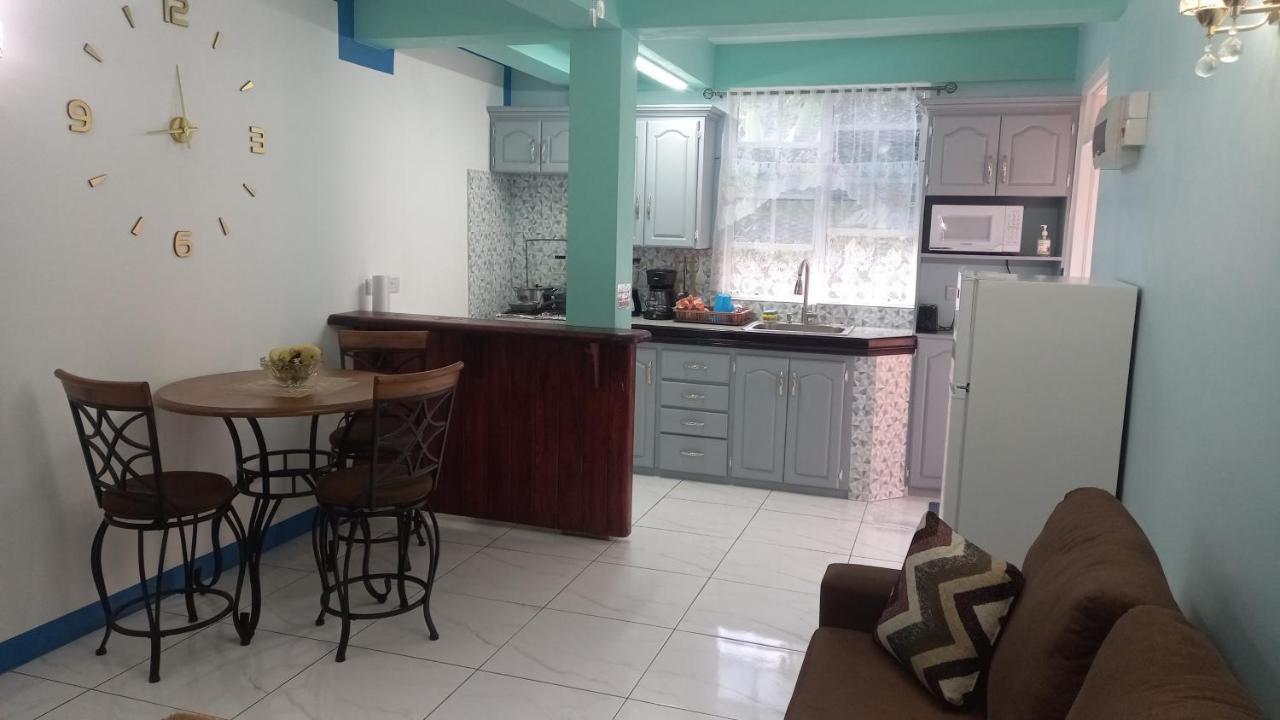 Appartement Cozy Vacation Retreat With Free Parking à Roseau Extérieur photo